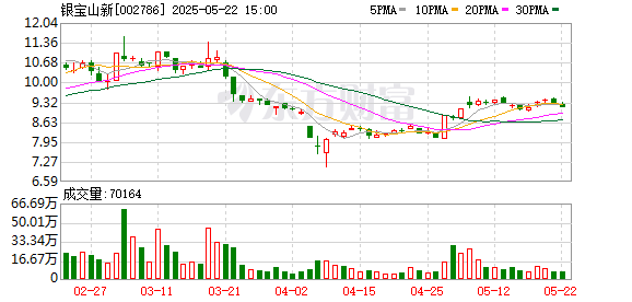 魔投网 银宝山新：2024年年度股东会决议公告