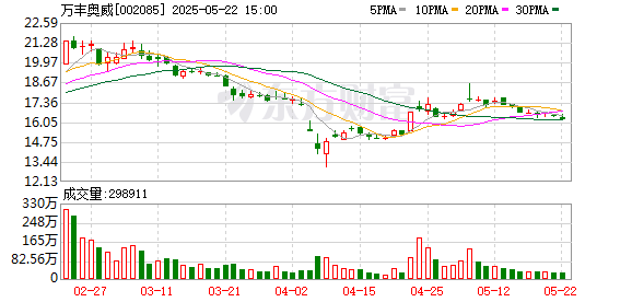铭创配资 万丰奥威：2024年度股东大会决议公告